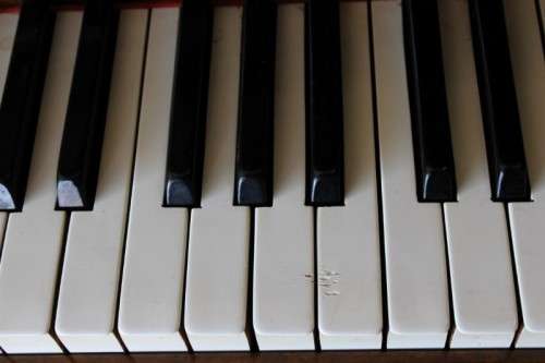 A beautiful & rare antique (early 1900's) Art Nouveau burr walnut upright piano by C. Otto of Berlin
