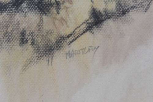 A fabulous large "Leopard" print in a gorgeous frame - Impressive!!! Lifespace Sale