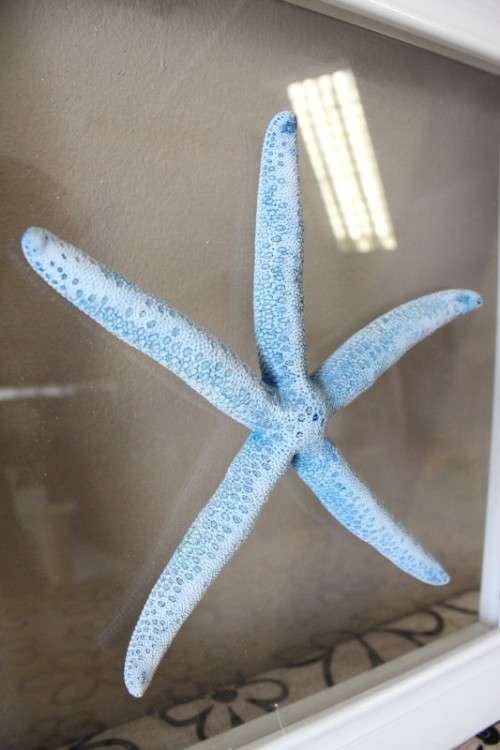 A fabulous set of real "Starfish" on a glass panel in a white frame. Stunning in all homes!!