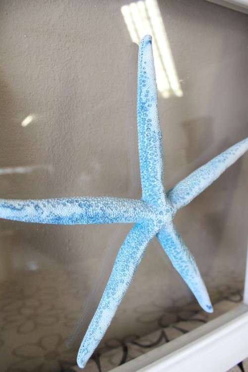 A fabulous set of real "Starfish" on a glass panel in a white frame. Stunning in all homes!!