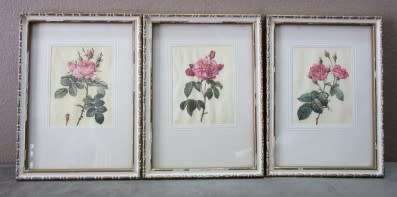 A lovely set of three small prints of roses in pretty frames. Lifespace Sale