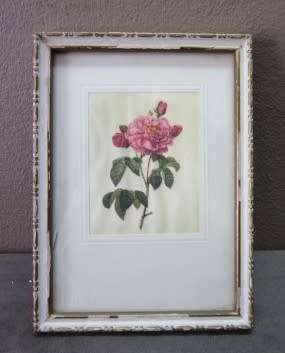 A lovely set of three small prints of roses in pretty frames. Lifespace Sale