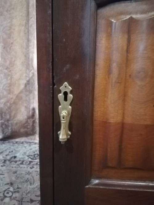 Vintage Imbuia single-door pedestal cabinet with a top drawer and brass handles-Lifespace Sale