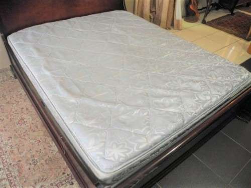 A stylish modern Coricraft Mahogany Queen sleigh bed with an Exotic pillow top mattress