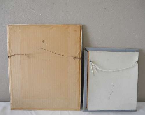 Two pretty colourful pictures in frames. Lovely in all rooms!!! Lifespace Sale