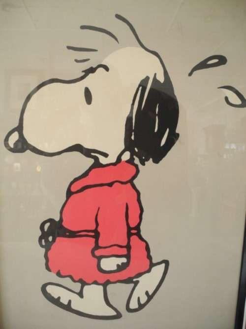 A wonderful vintage print of "Snoopy". Pretty in all rooms!!! Lifespace Sale