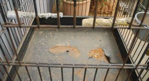 A well made metal bird cage on wheels