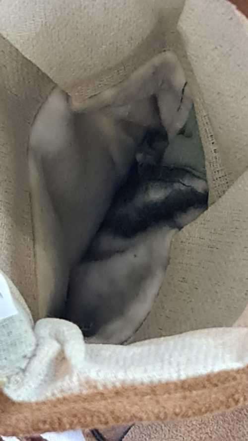 Lifespace Leather Braai Gloves