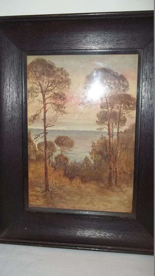 BEAUTIFUL ORIGINAL WATERCOLOUR BY ARTIST HM CAMERON DEPICTING A FOREST SCENE