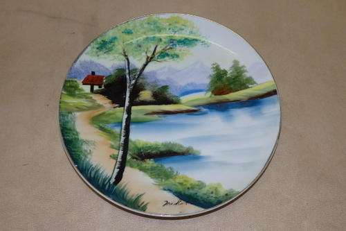 AN AWESOME AND QUITE UNUSUAL HAND PAINTED PORCELAIN COLLECTORS PLATE IN GREAT CONDITION