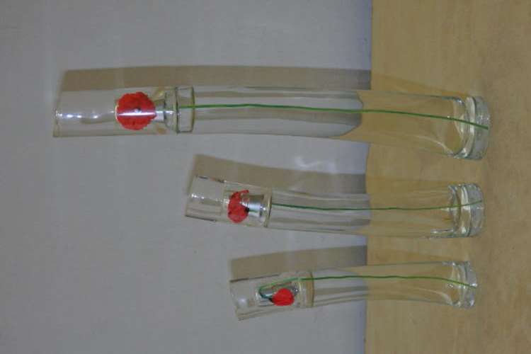 THREE FANTASTIC DIFFERENT SIZE KENZO "FLOWER" DISPLAY PERFUME BOTTLES