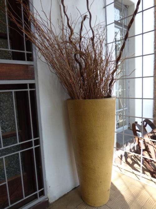 A STUNNING LARGE POT PLANT WITH LARGE STICKS, AWESOME ON YOUR PATIO, LAPA OR AROUND THE POOL!!