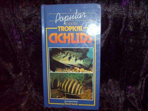 A Popular Guide to Tropical Cichlids