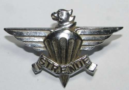 SADF - 3 Parachute Battalion Beret Badge