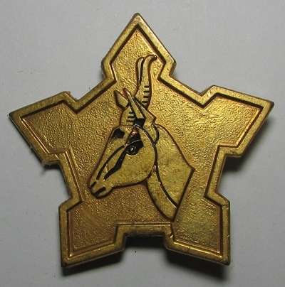 SADF - Army Ceremonial Cap/Buckle Badge