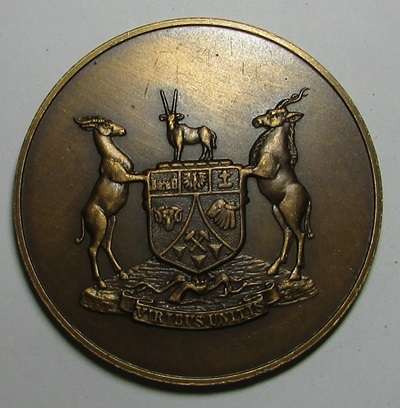 SADF - SWA Territory Forces Medallion - Dated 1989
