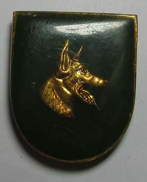 Unknown Dog School Pocket Flash