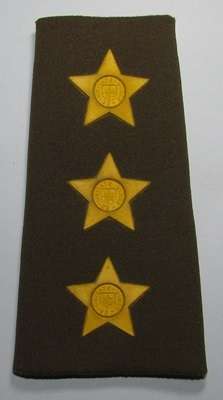 SADF - Nutria Army Captain Rank Board