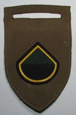 SADF - Infantry Delta Company Tupper Flash