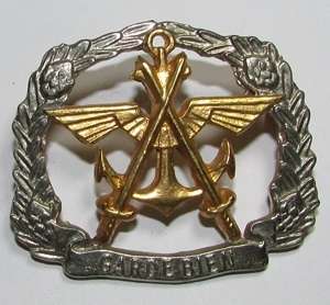 SANDF - National Ceremonial Guard Cap Badge