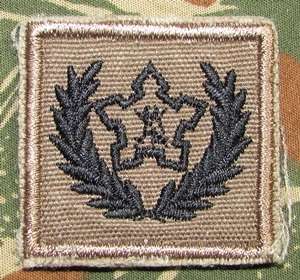 SADF - 5 Year Voluntary Service Badge