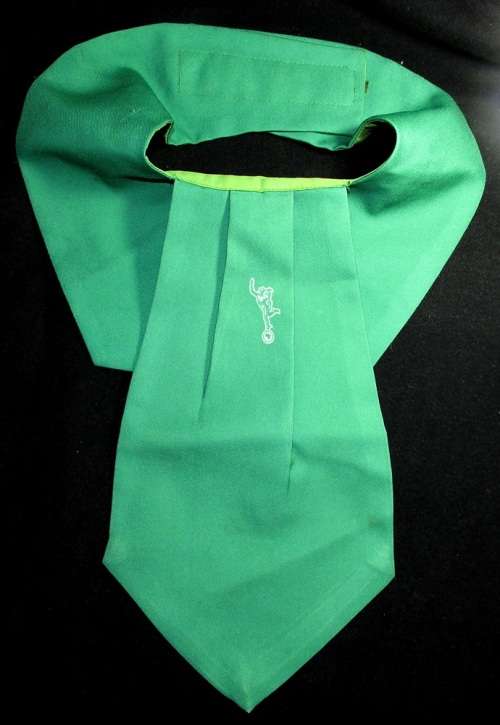 SADF - Signal Corps Cravat