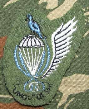 Ciskei Parachute Training School Intructor Wing