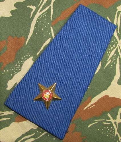 SADF -  SAAF 2nd Lieutenant Rank Board