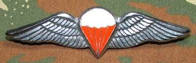 SADF - Free Fall Qualified Parachute Wing - Full Size