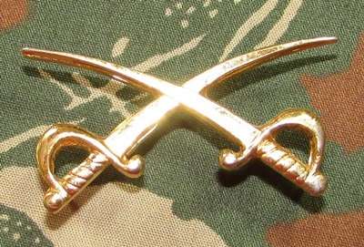 SADF - PT Instructor Breast Badge