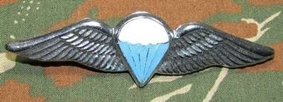 SADF - Dispatcher ( 50 Jumps and Over ) Full Size Wing
