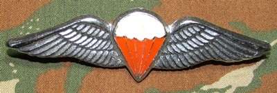 SADF - Parachute Freefall Wing - Full Size