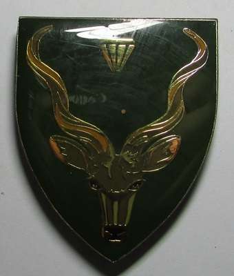 SADF - Barkley West Commando Shoulder Flash