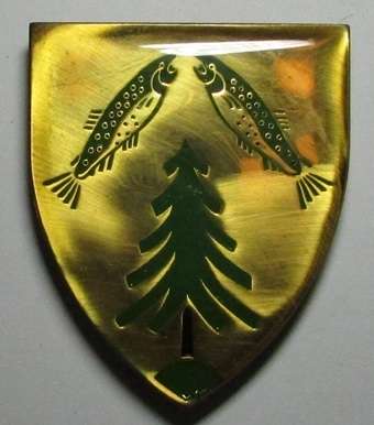 SADF - Belfast Commando Shoulder Flash