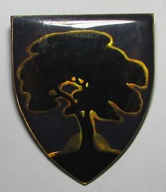 SADF - Schweizer Reneke Commando Shoulder Flash