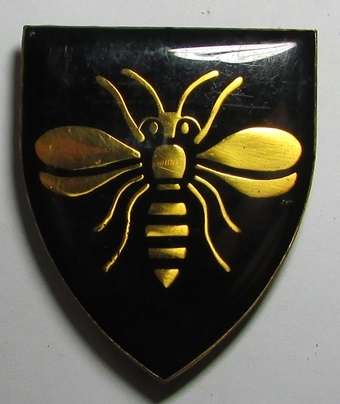 SADF - Vanderbijl Commando Shoulder Flash