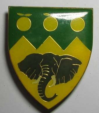 SADF - Clanwilliam Commando Shoulder Flash