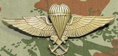 Maxican Navy Parachute Wing