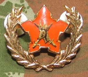 SADF - Army Volunteer Metal Breast Badge