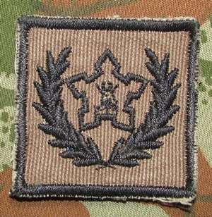 SADF - Army Volunteer Nutria Breast Badge