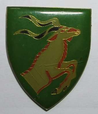SADF - Queenstown Commando Shoulder Flash