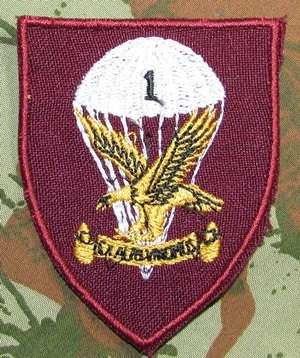 SANDF - 1 Parachute Battalion Embroidered Blazer Badge