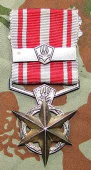 SA Police Star for Combating Terrorism with Bar - Full Size Medal To :Konst.G.M White 51681F