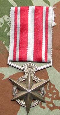 SA Police Star for Combating Terrorism - Full Size Medal To :A.O MJ Mougm 2112K