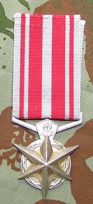 Full Size South African Police Medal for Combating Terrorism 1974 Unnamed