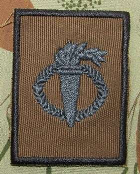 SANDF - Nutria Pathfinder Breast Badge