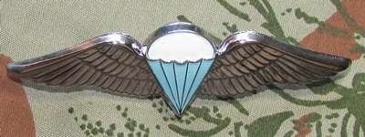 SADF - Dispatcher ( 50 Jumps and Over ) Full Size Wing