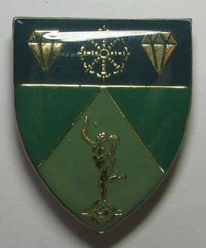 SADF - 1 SWA Signal Regiment Pocket Flash