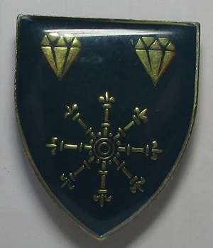 SADF - 1 SWA Logistics Brigade Pocket Flash