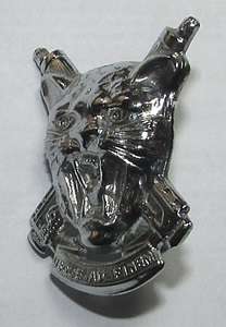 SADF - SWA Regiment Erongo Cap Badge